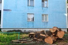 выкса.рф, УК «Иверское» провела вырубку деревьев в м-оне Гоголя
